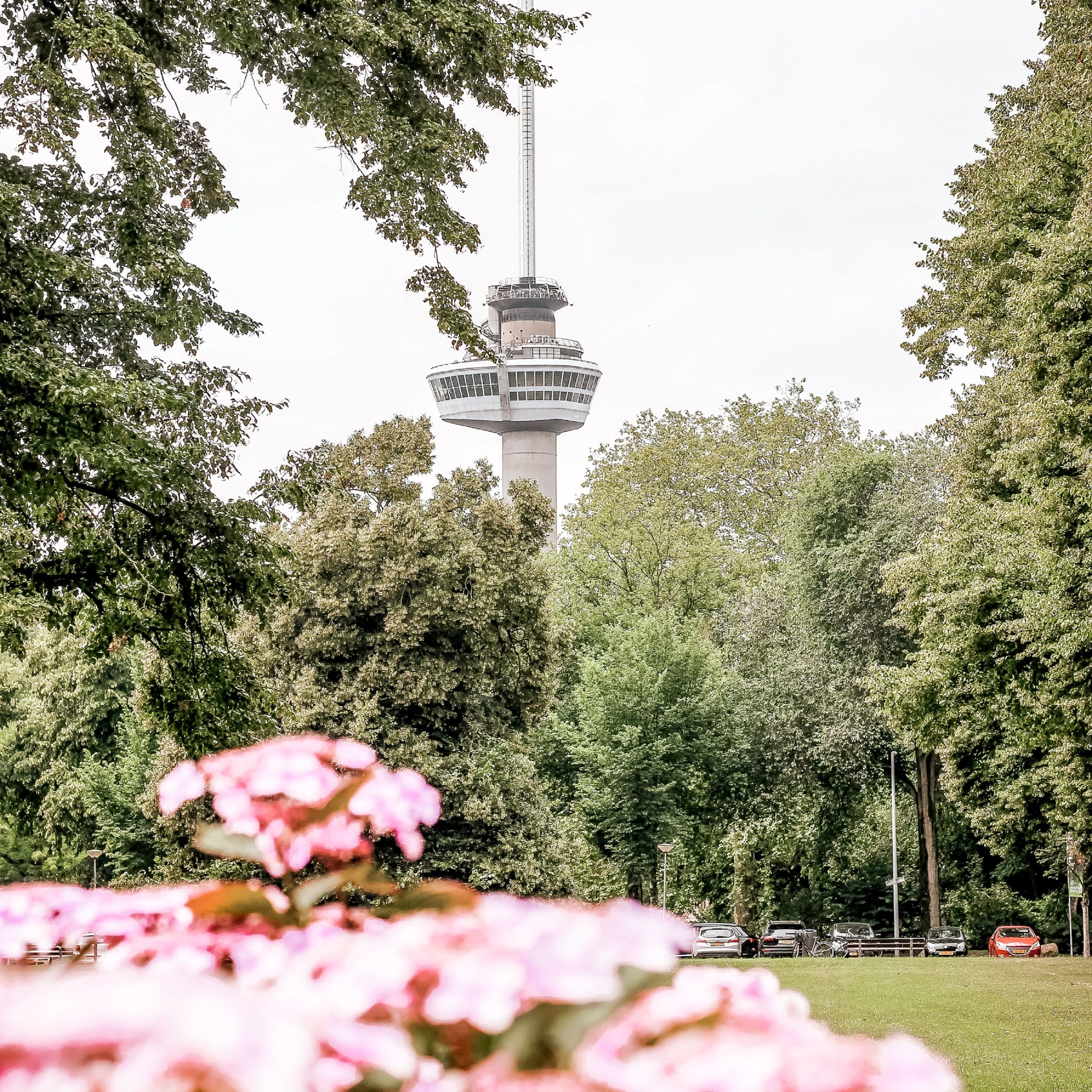 A control tower surrounded by trees and a grassy area with parked cars.