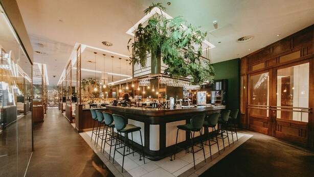 A modern bar area with a central island, bar stools, and hanging plants. - Hilton Rotterdam (Rotterdam)