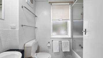 A bathroom with a toilet, bidet, and shower.