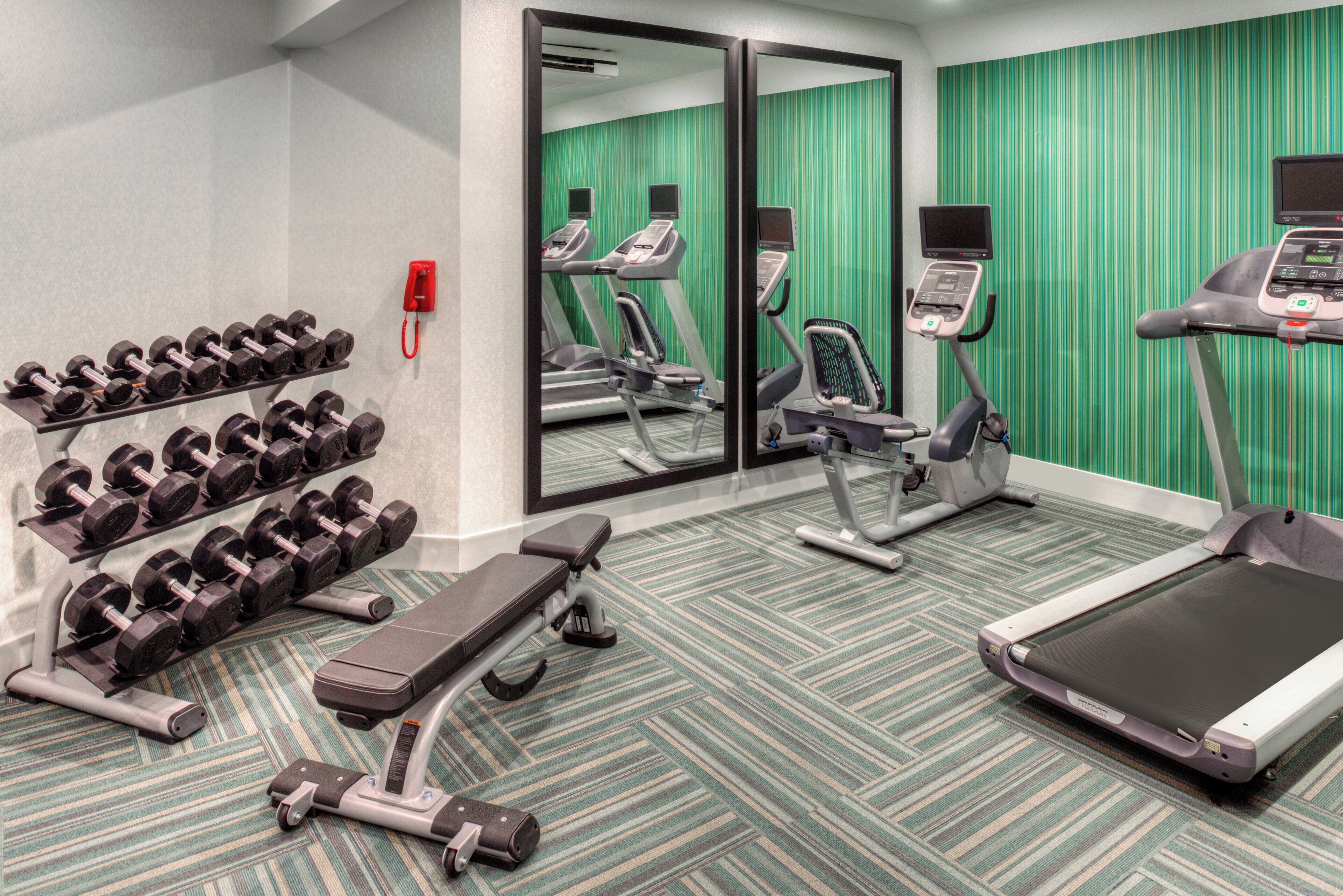 A gym with treadmills, a stationary bike, and dumbbells.