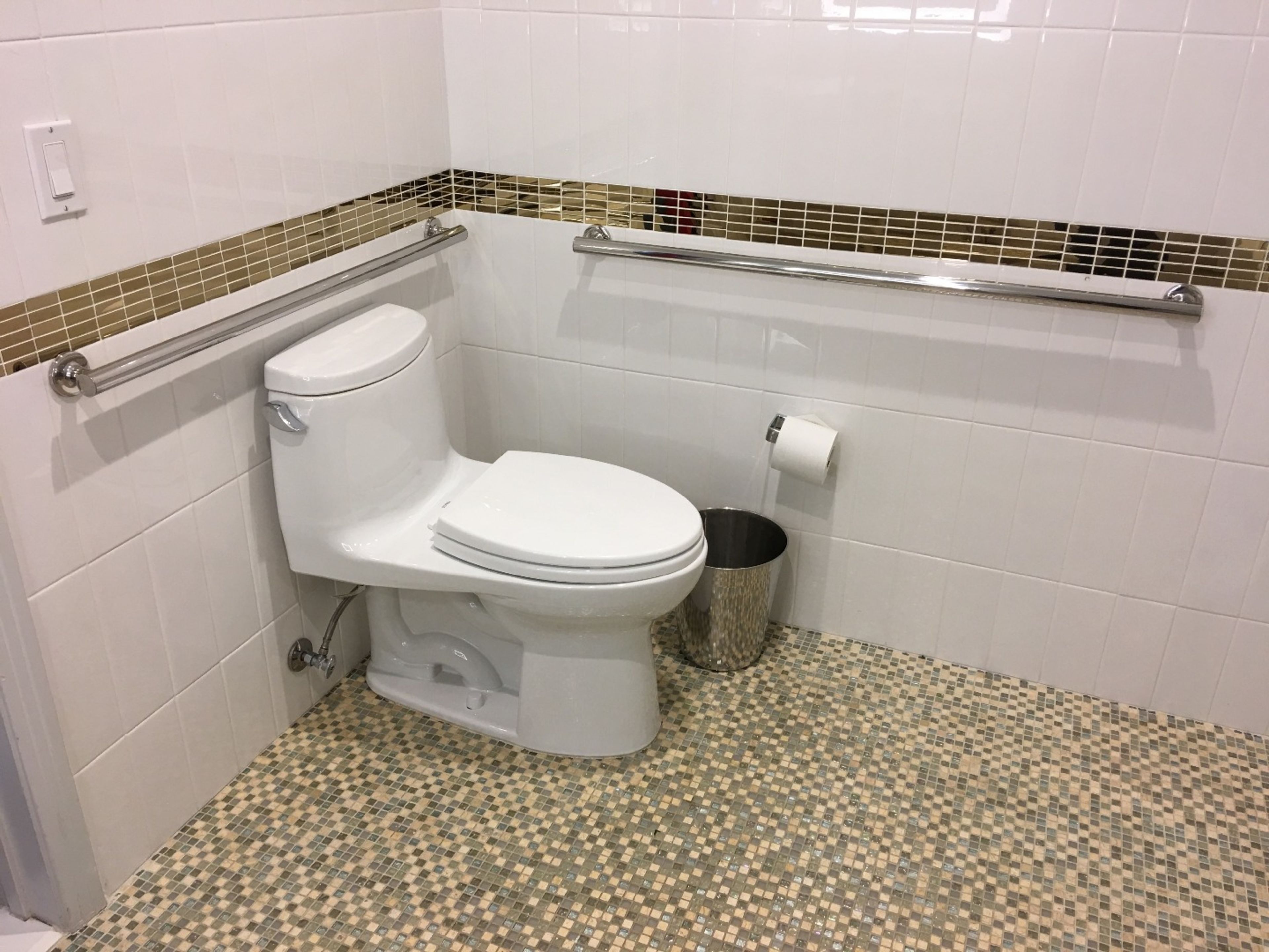 Een badkamer met een wit toilet, een prullenbak en een handgreep.