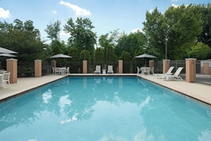 Seasonal outdoor pool, open 9:00 AM to 9:00 PM, sun loungers