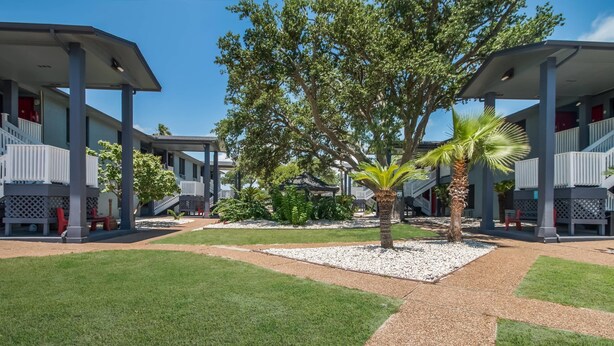 A courtyard with a central palm tree, surrounded by a building with a covered walkway and a gazebo.