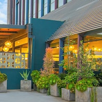 Desayuno buffet todos los días (con cargo)