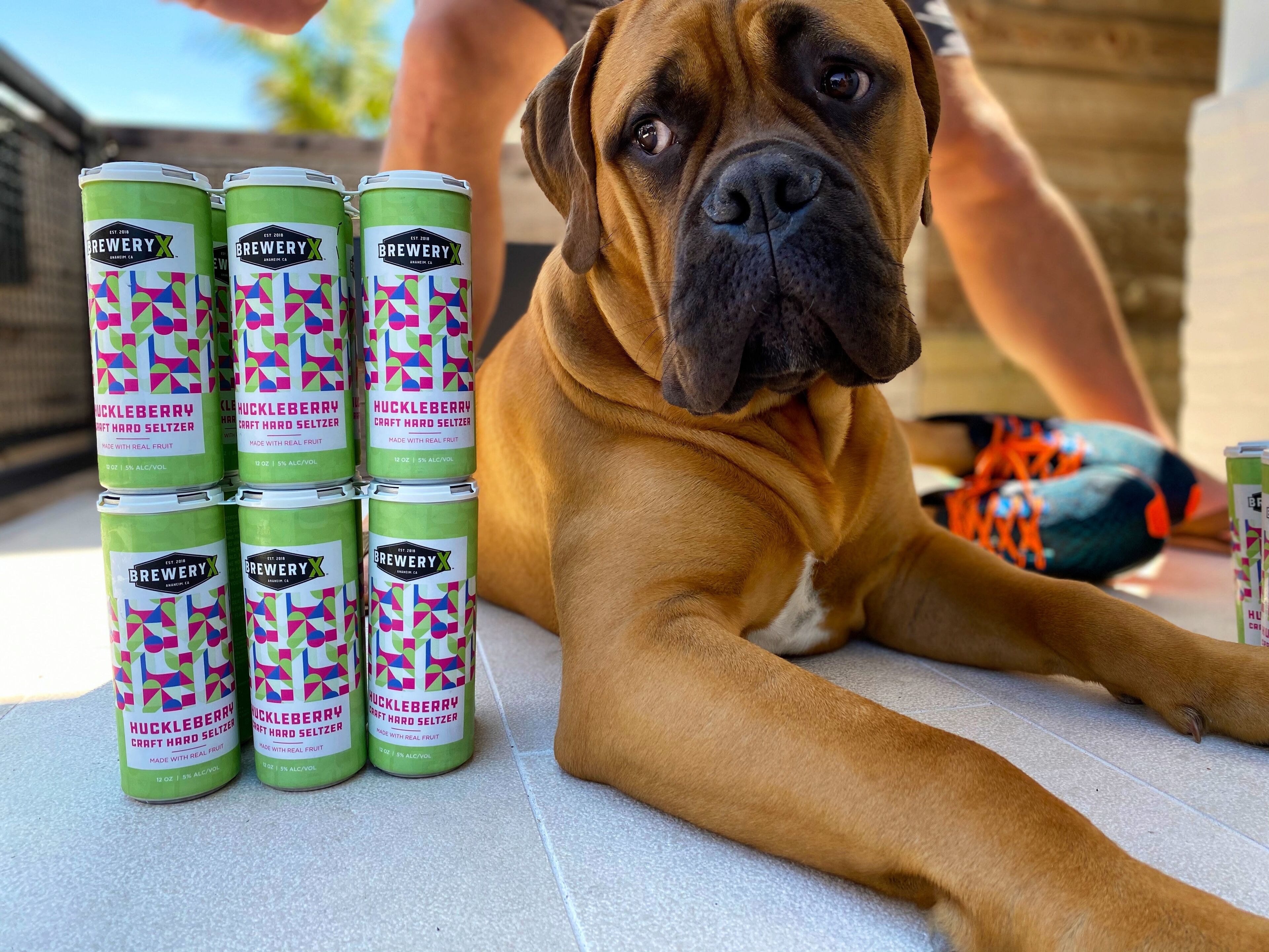 A dog lying next to a stack of Huckleberry craft hard seltzer cans.