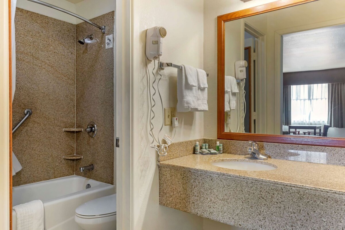 A bathroom with a shower, a toilet, a sink, and a mirror.