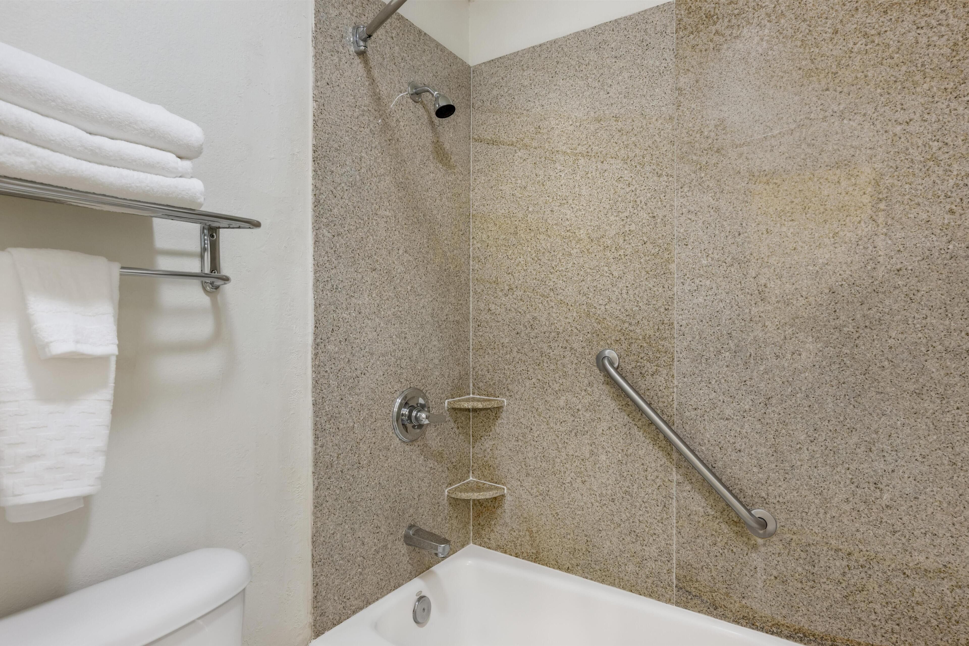 A bathroom with a shower, a toilet, and a towel rack.