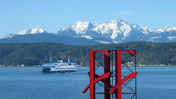 Experience serene travel with breathtaking mountain and forest views.