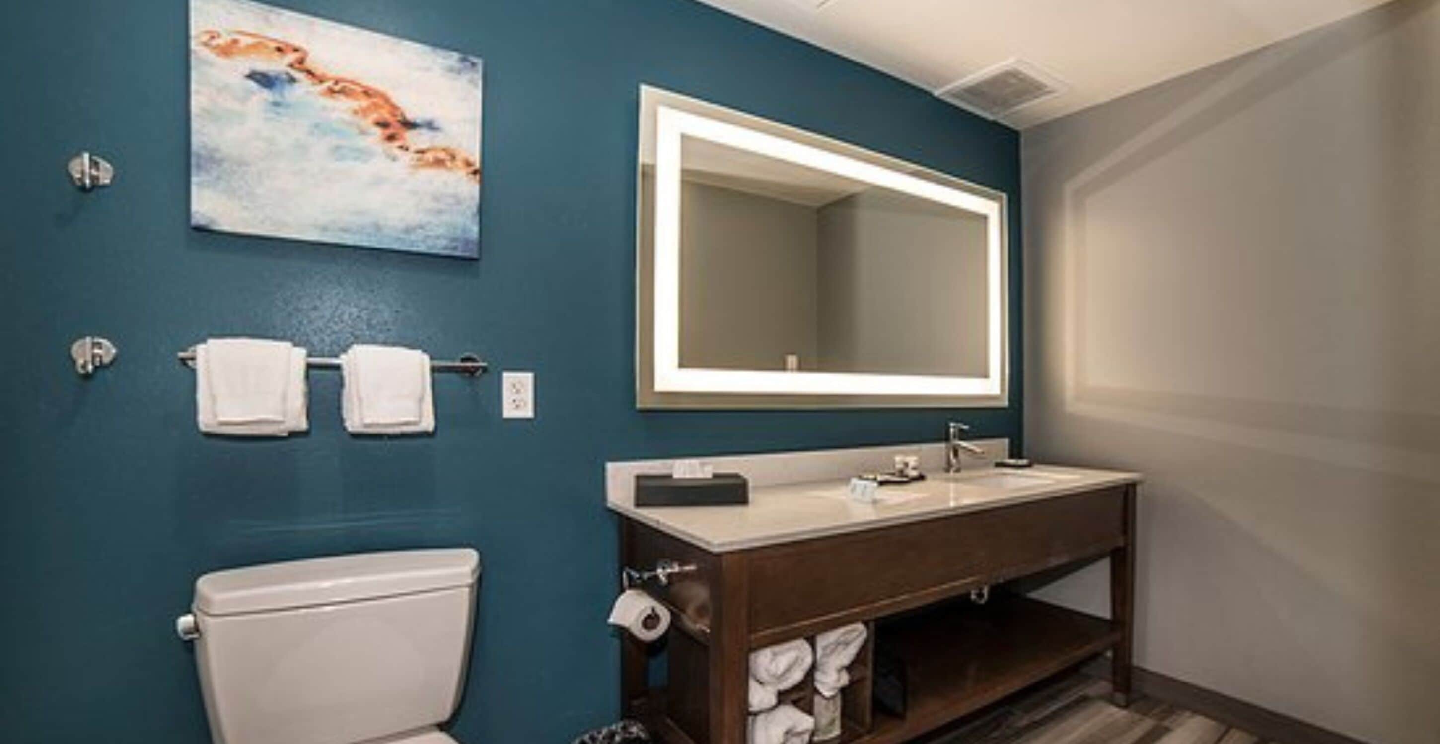 A bathroom with a toilet, a sink, a mirror, and a towel rack.