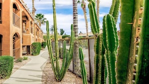 A pathway lined with tall cacti and palm trees, leading to a building with arched balconies and a stucco exterior. - Holiday Inn Club Vacations Scottsdale Resort by IHG (Scottsdale)