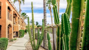 Servicio de la propiedad