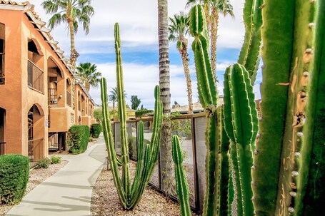Holiday Inn Club Vacations Scottsdale Resort, an IHG Hotel - Image 13