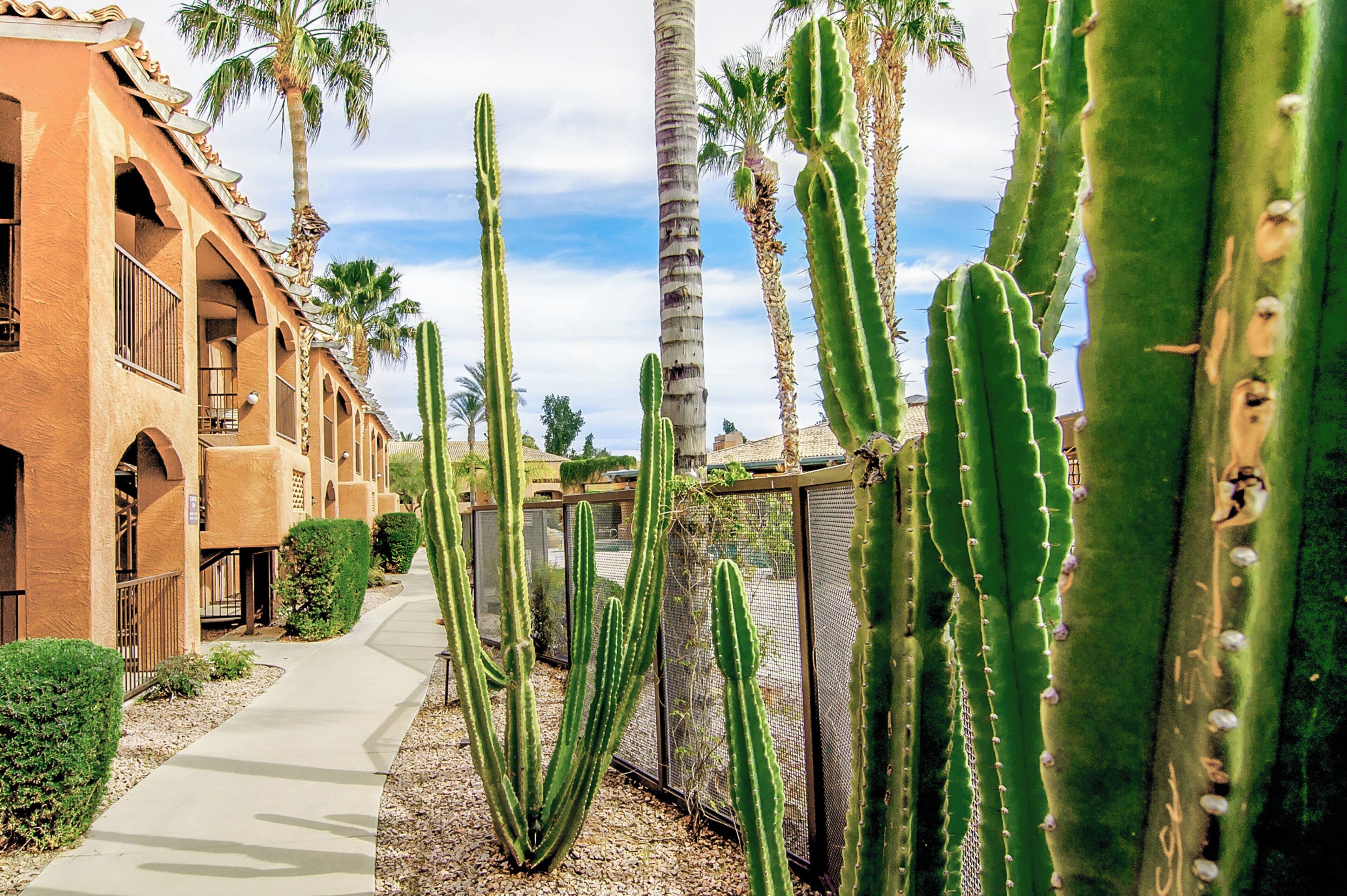 Photo - Holiday Inn Club Vacations Scottsdale Resort