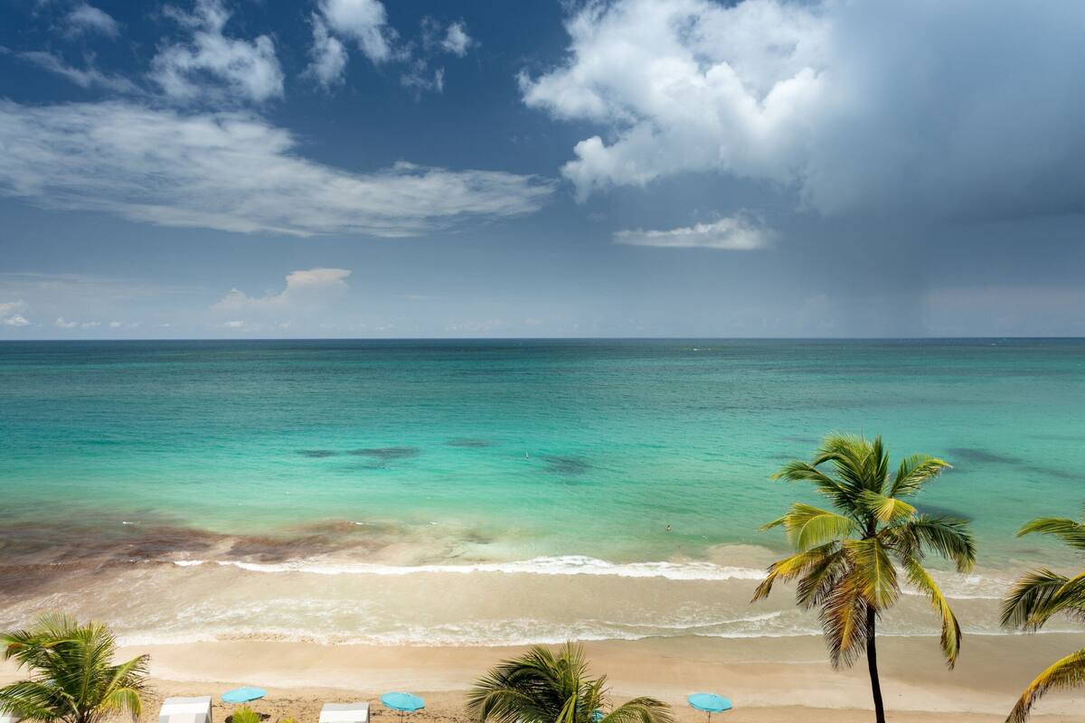 Ein Strand mit klarem türkisblauem Wasser, Palmen und einem sandigen Ufer.