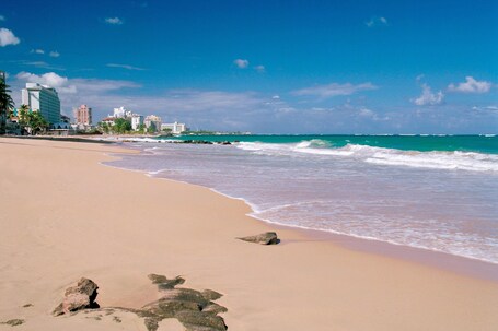 San Juan Marriott Resort and Stellaris Casino - Image 64
