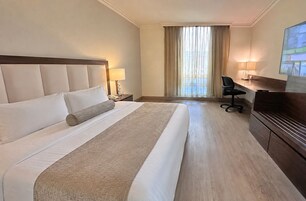Una habitación de hotel con una cama grande, un escritorio, una silla y un televisor.