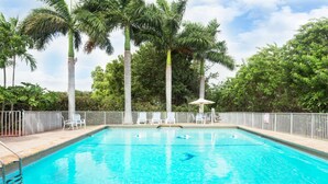 Une piscine à l’eau d’un bleu cristallin, entourée de palmiers et délimitée par une clôture, avec des chaises longues à l’intérieur.