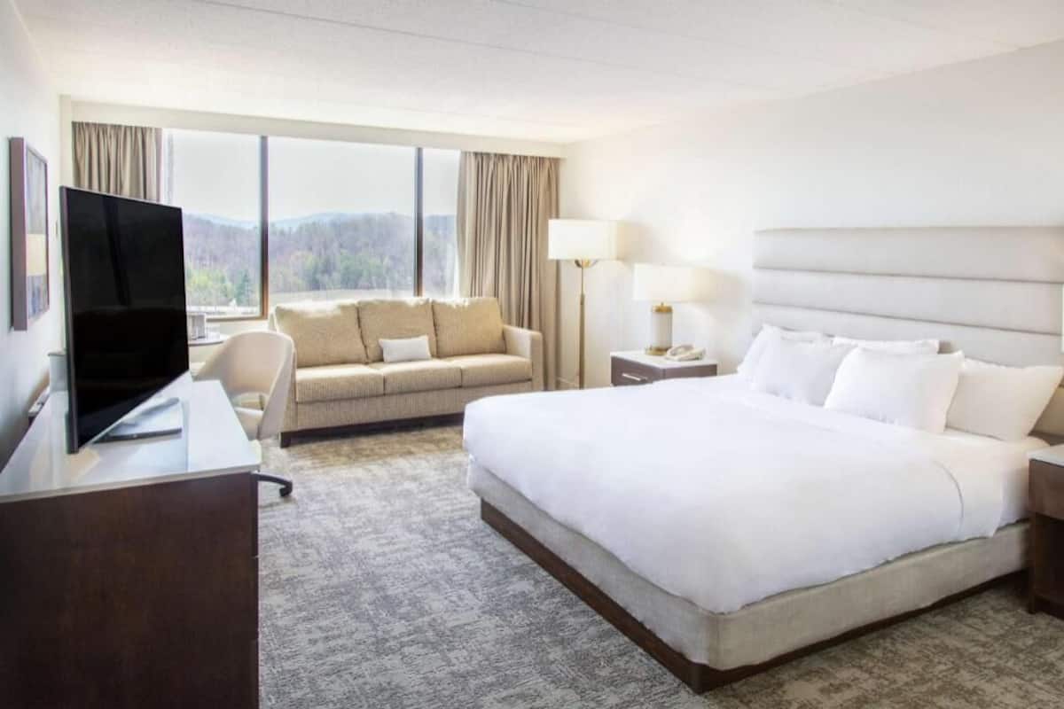 Habitación de hotel con cama, escritorio con televisor, sofá, lámpara y vistas al exterior.