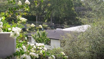 Vista desde la habitación