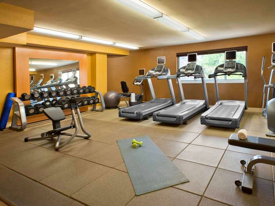 Un gimnasio con cintas de correr, elípticas, pesas libres y pelotas de ejercicio.