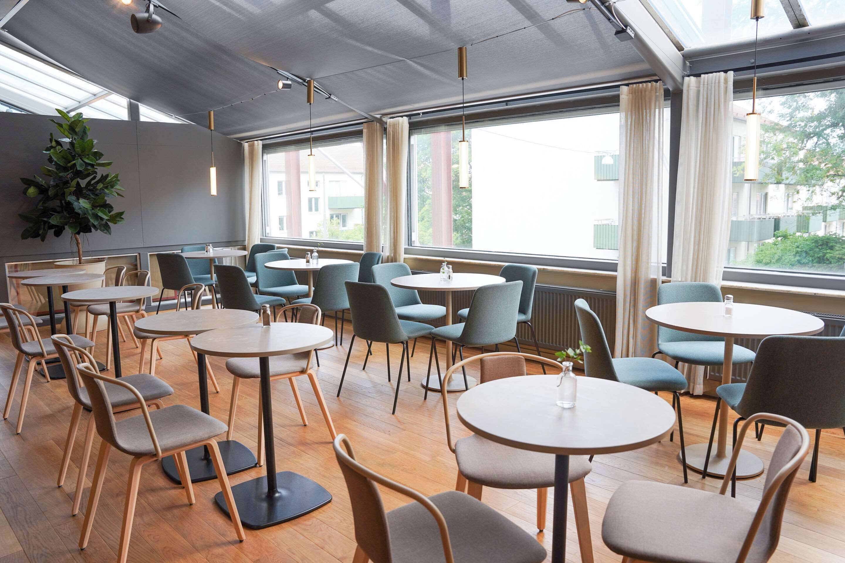 Un comedor moderno con mesas y sillas redondas, ventanas amplias con cortinas y una planta en maceta.