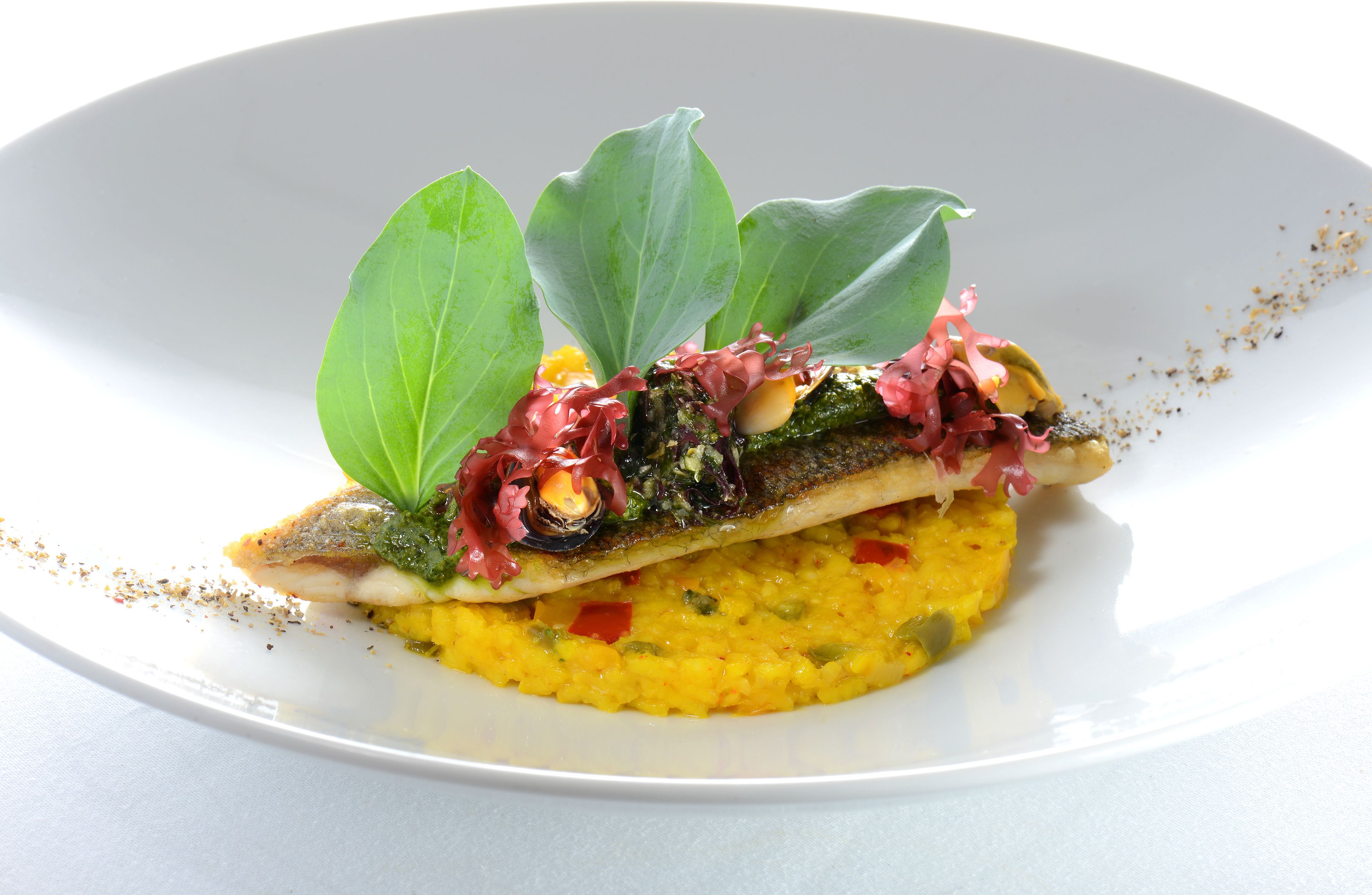A white plate with a fish fillet, green leaves, and a yellow puree.
