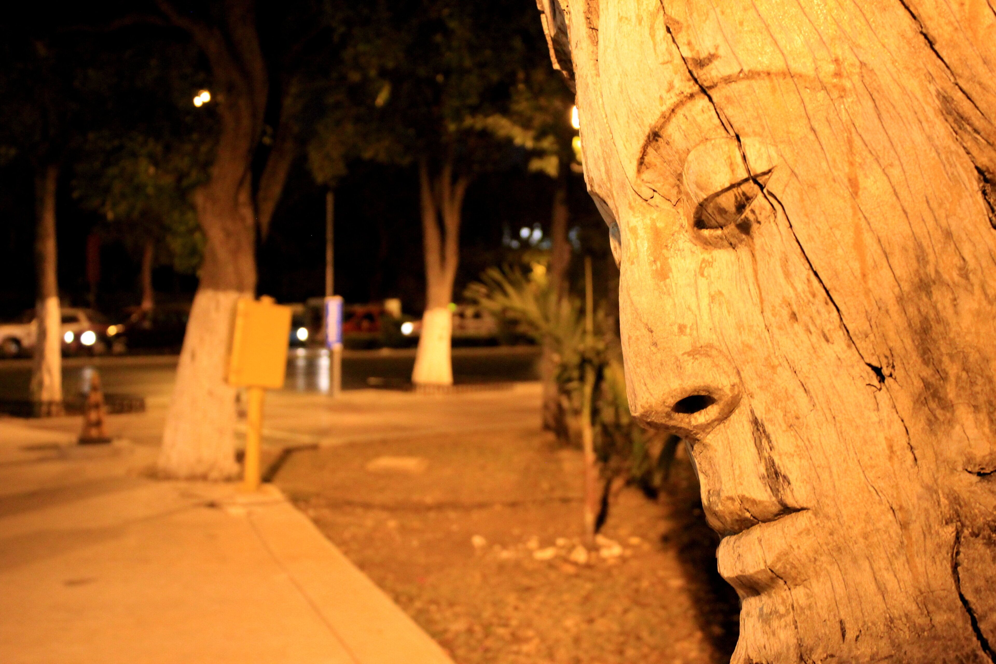 Ein Baum mit einem geschnitzten Gesicht, ein Bürgersteig und eine Straße mit parkenden Autos.