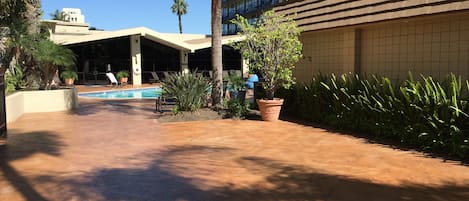 Zona de piscina en un resort, con sillas de descanso, una palmera y un edificio con balcones.