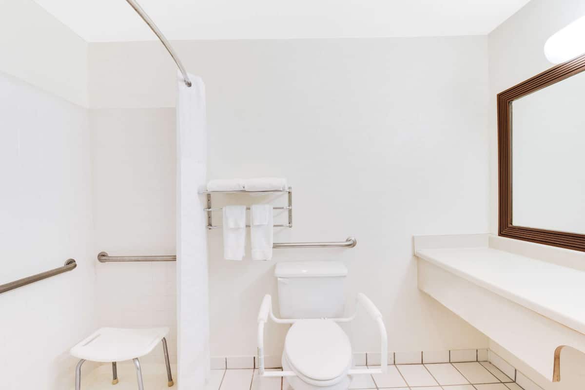 room, 1 king bed, accessible, non smoking (roll-in shower) | bathroom | hair dryer, towels