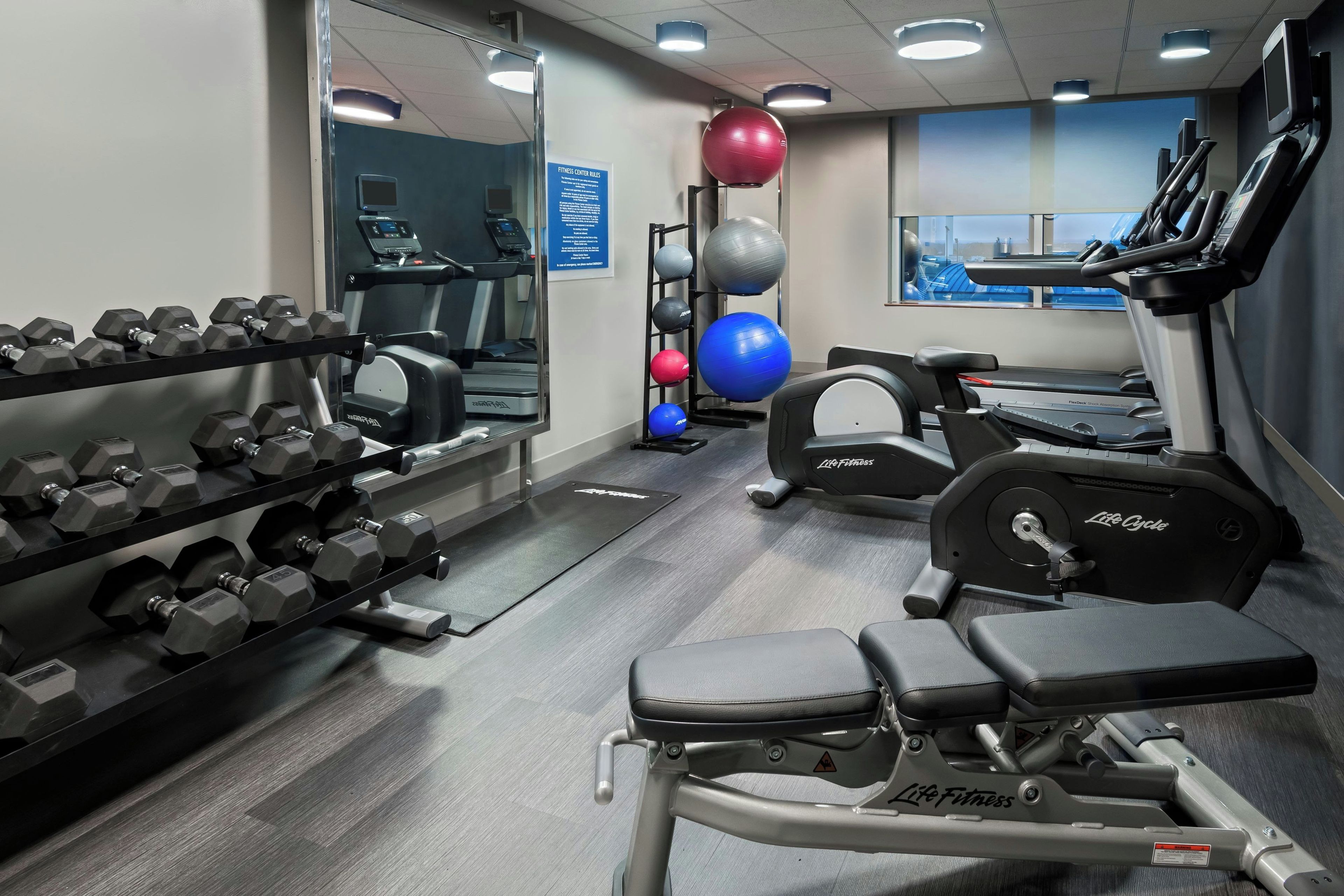 A gym with treadmills, dumbbells, and exercise balls.