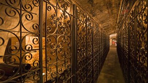 Un túnel con barandillas de metal decoradas y suelo de hormigón.
