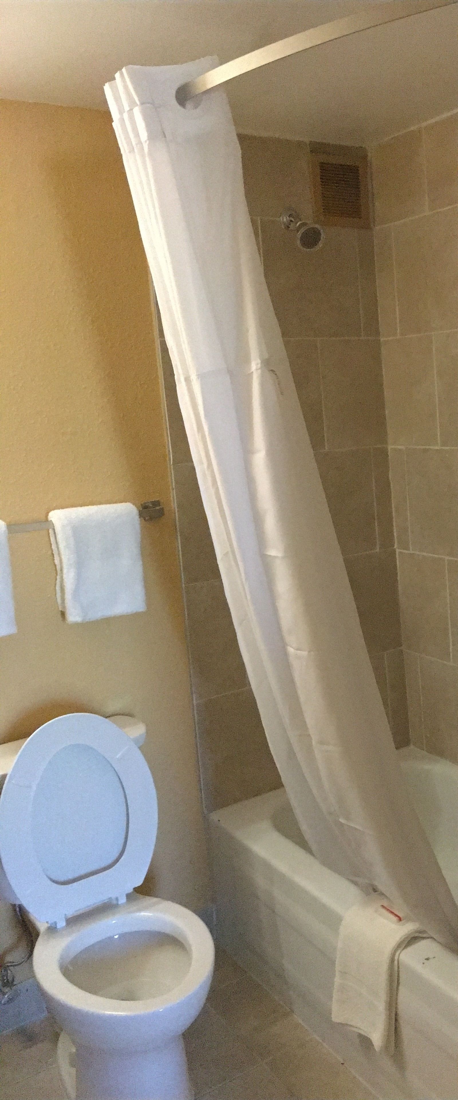 A bathroom with a toilet, a shower curtain, and a bathtub.