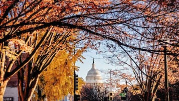 A view of the Capitol building with autumn trees in the foreground.