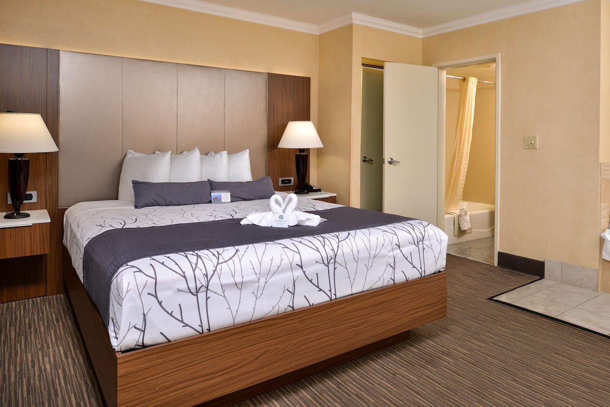 Deluxe Room, 1 King Bed, Non Smoking, Jetted Tub | In-room safe, desk, laptop workspace, blackout drapes