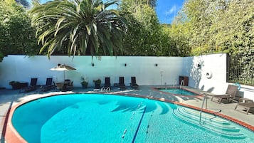 A swimming pool with multiple lanes, surrounded by lounge chairs and potted plants, with a palm tree and a white wall in the background.