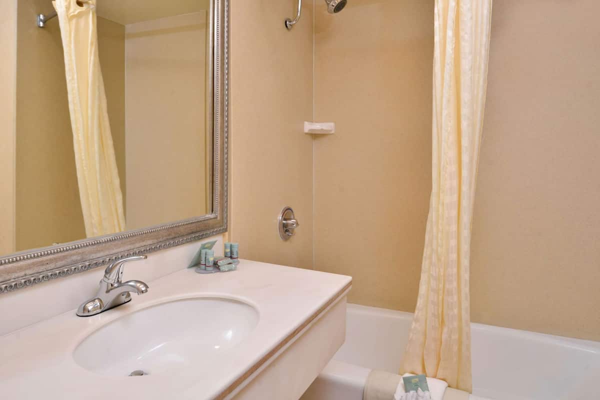 Bathroom | Combined shower/tub, free toiletries, hair dryer, towels