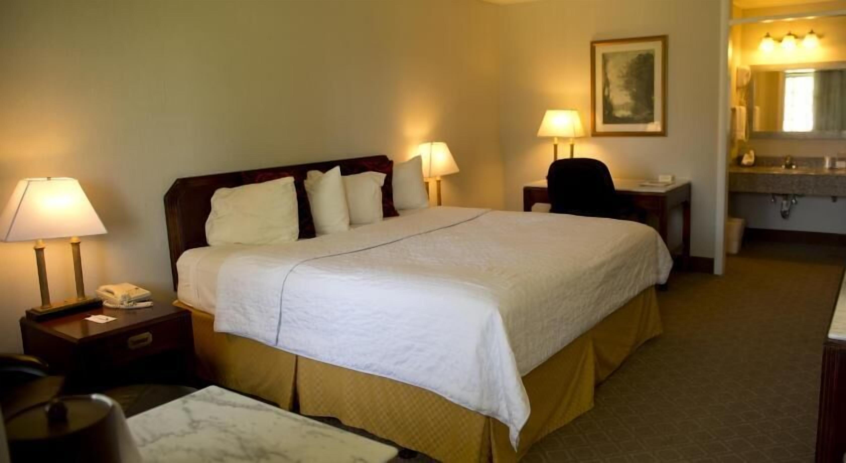 간이 침대, 무료 WiFi, 침대 시트, 알람 시계