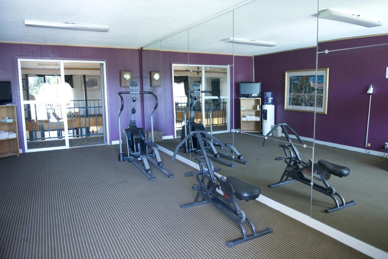 Een sportschool met trainingsapparatuur, een televisie en een schilderij aan de muur.