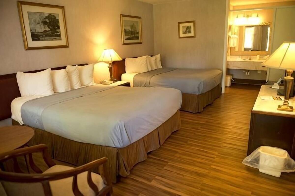 Rollaway beds, free WiFi, bed sheets, alarm clocks