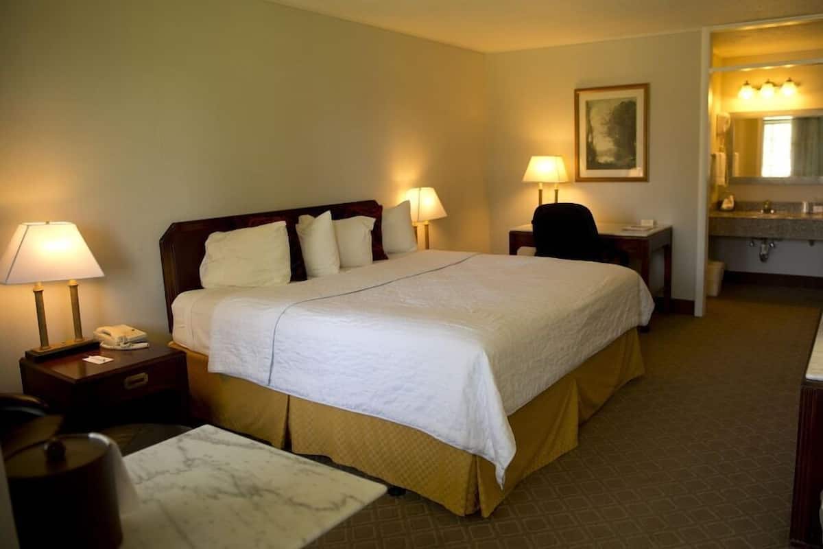 Une chambre d’hôtel avec un grand lit, deux lampes de chevet, un bureau avec une chaise, un miroir et une salle de bain visible au fond.