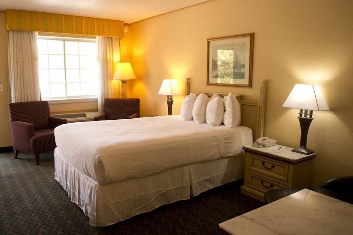 Une chambre d’hôtel avec un grand lit, deux tables de chevet, une chaise, un bureau et une fenêtre avec des rideaux.