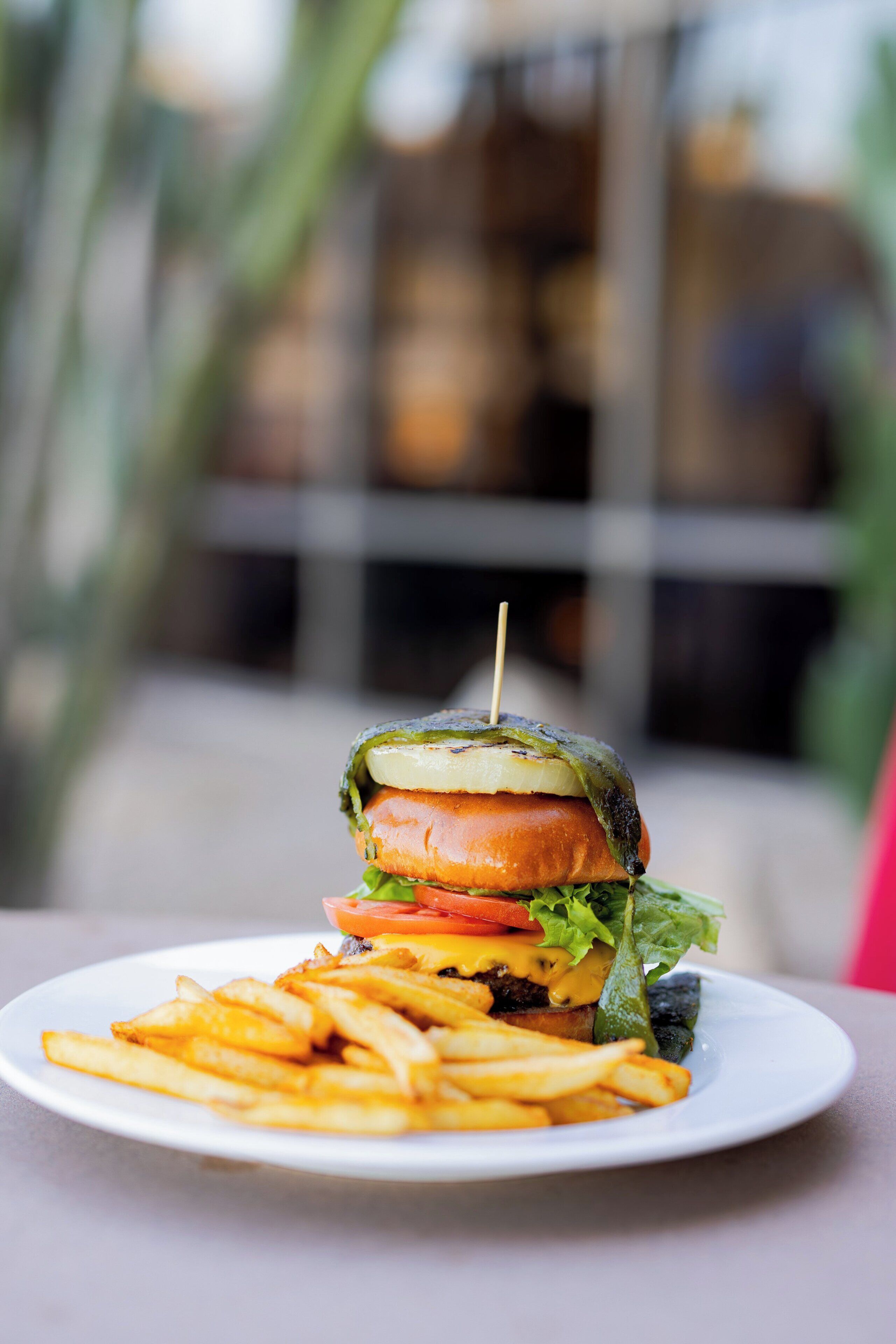 A plate with a sandwich and fries.