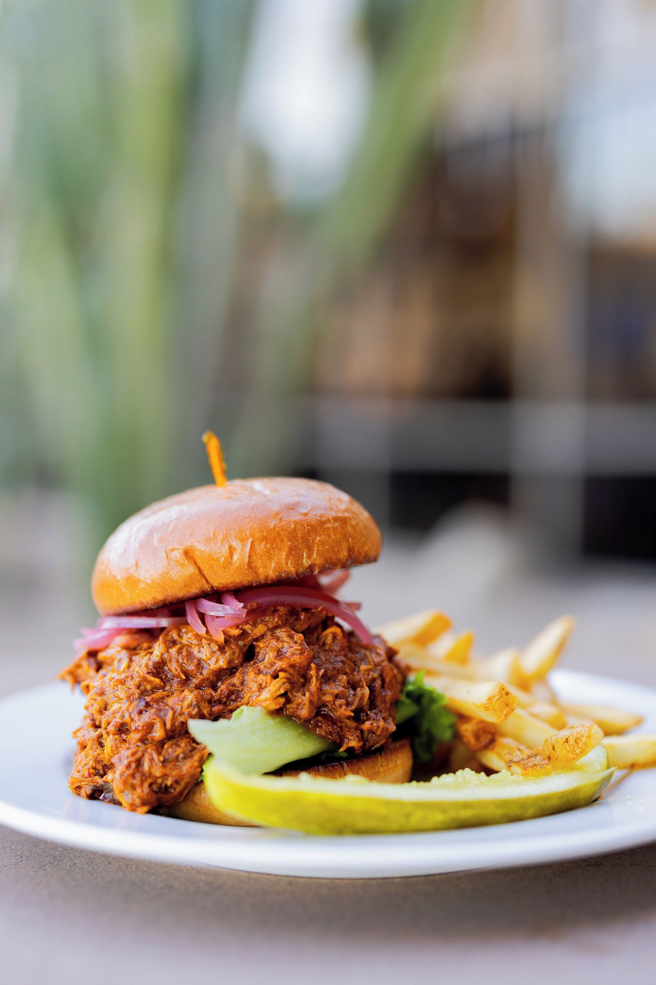 A pulled pork sandwich with fries and a pickle on a white plate.
