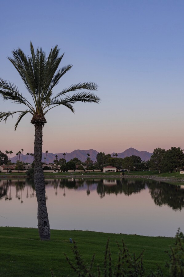 Una palmera junto a un lago tranquilo con montañas al fondo.
