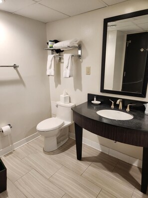 Bathroom features a white toilet, black vanity with sink, and large mirror.