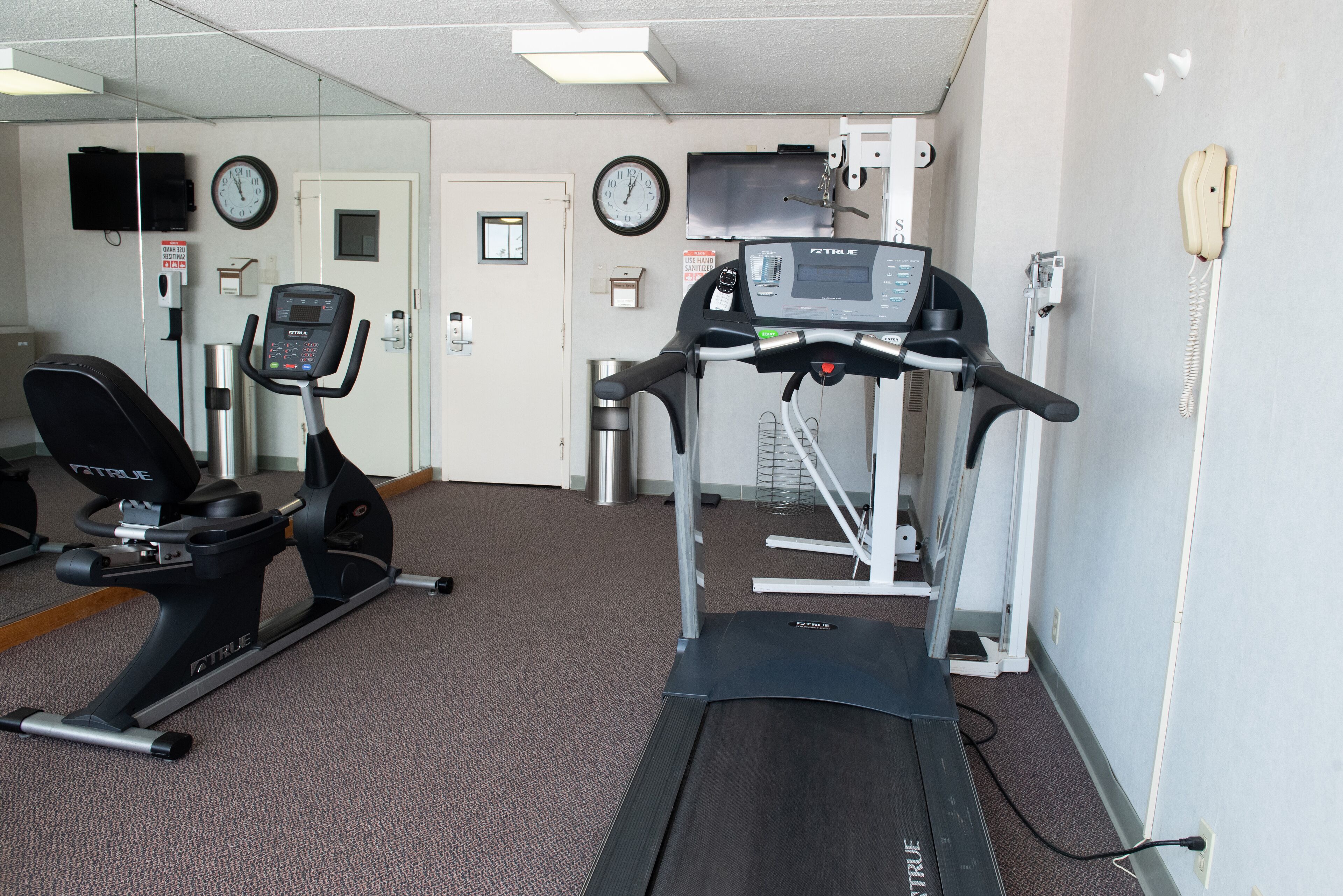 A gym with a treadmill, stationary bike, and exercise equipment.