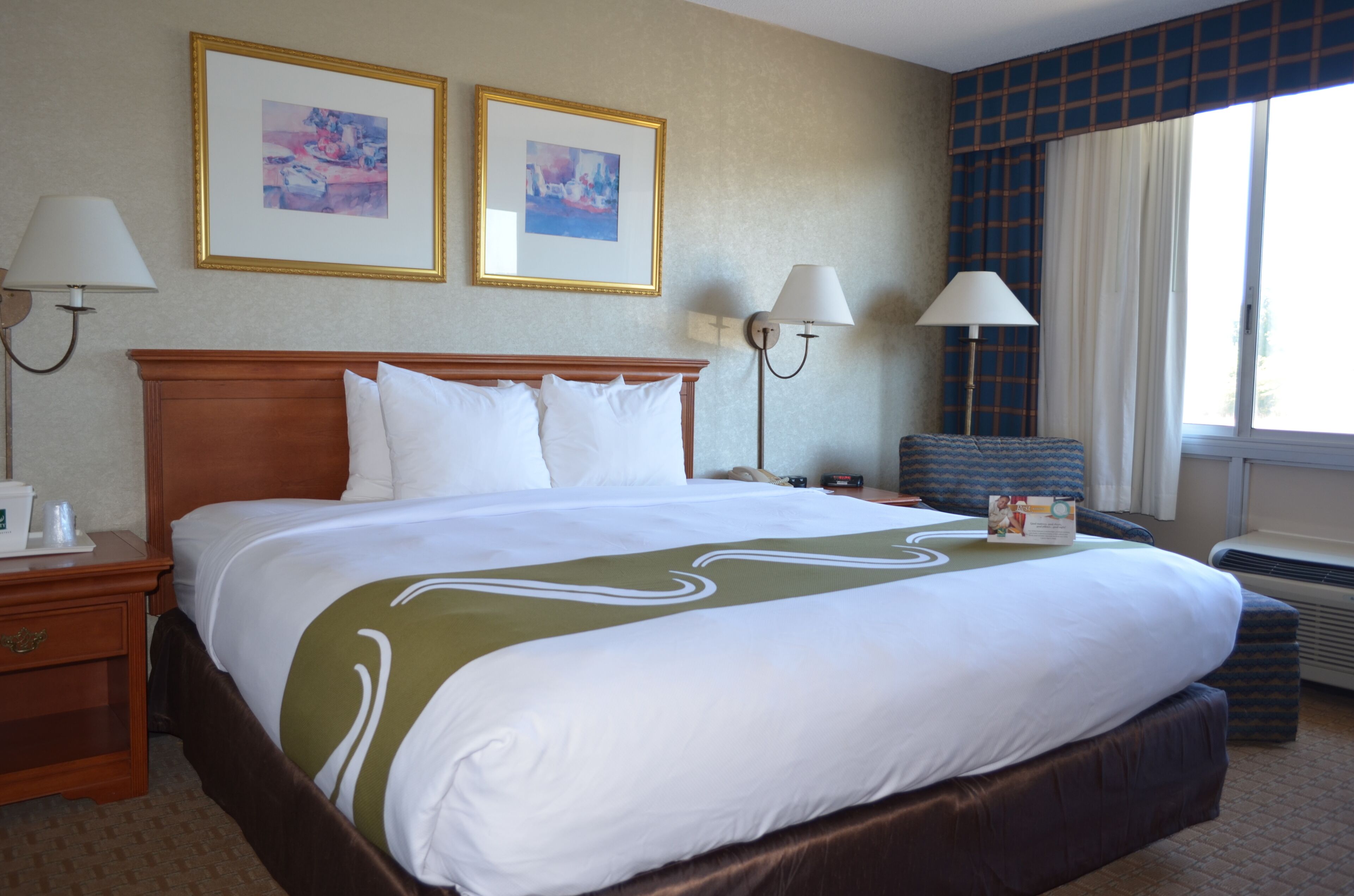 客房, 1 张特大床, 无烟房 | 客房内保险箱、办公桌、遮光窗帘、熨斗/熨衣板