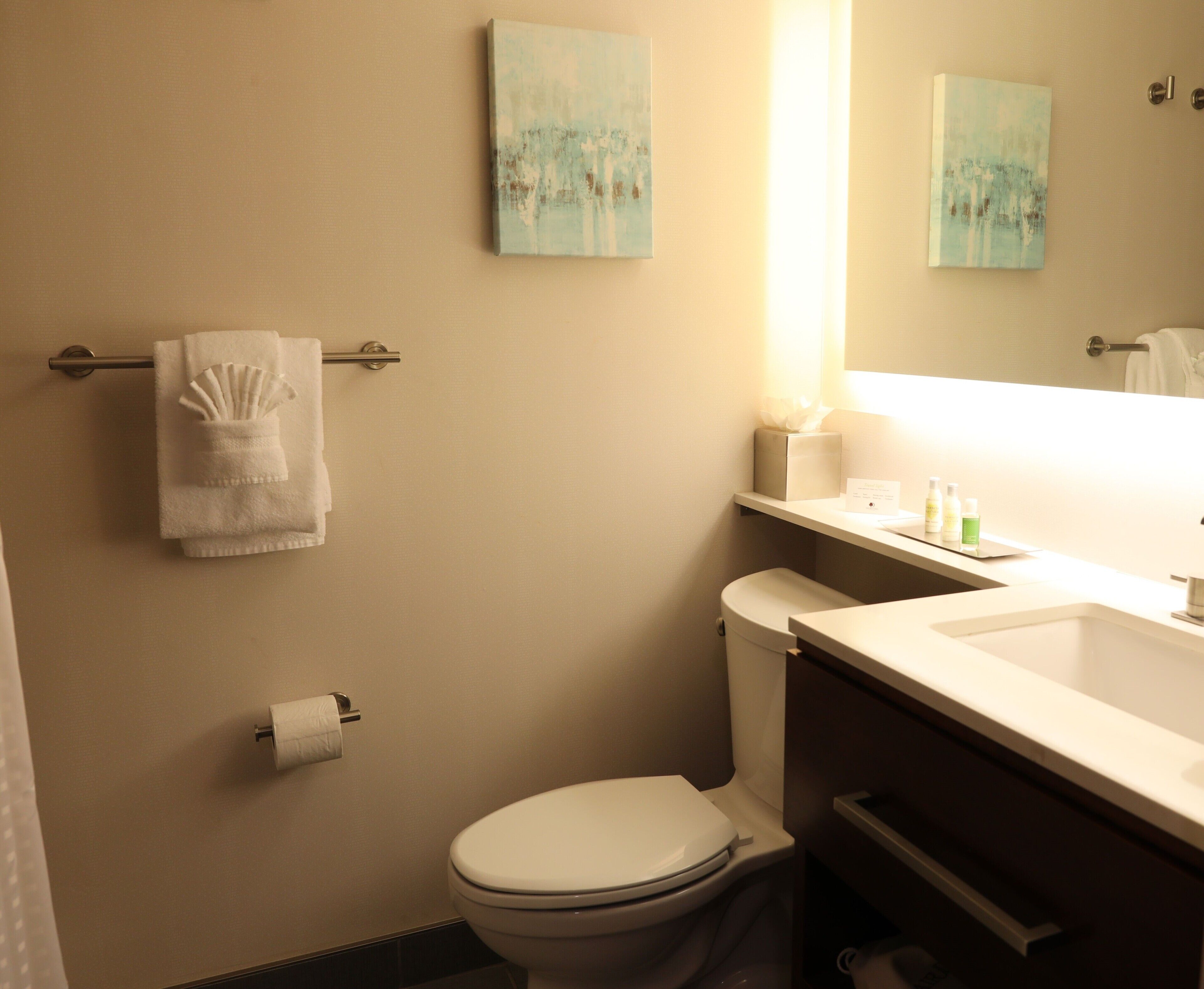 Un baño con inodoro, toallero con toalla doblada, dispensador de papel higiénico, lavabo con artículos de aseo y dos cuadros colgados en la pared.