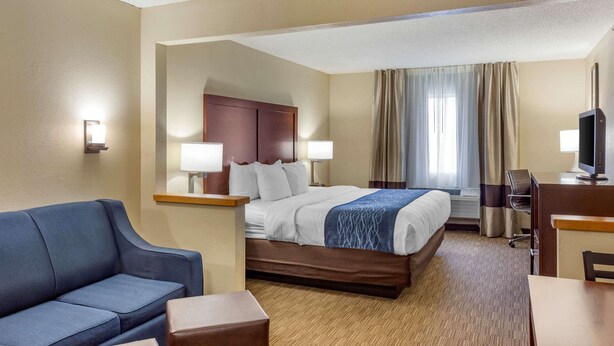 A hotel room with a bed, a desk, a television, a couch, and a lamp. - Comfort Inn Rockford near Casino District (Rockford)