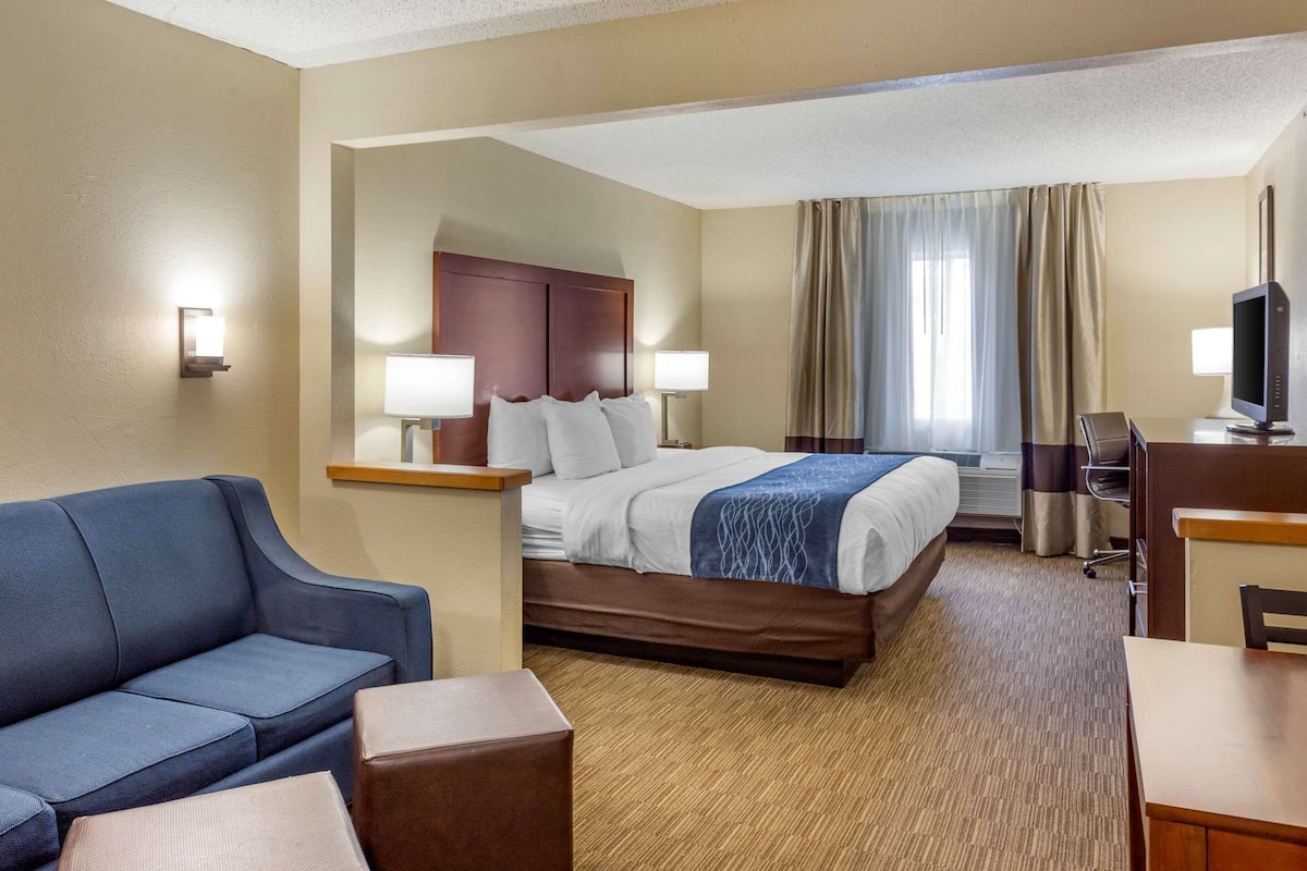 Suite, 1 King Bed with Sofa bed, Non Smoking | Premium bedding, down comforters, in-room safe, desk